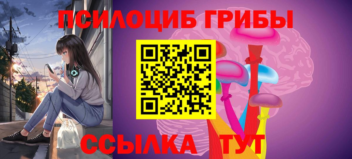 Галлюциногенные грибы Cubensis  Вход с VPN  Псилоцибиновые грибы Psilocybe  Свободный 