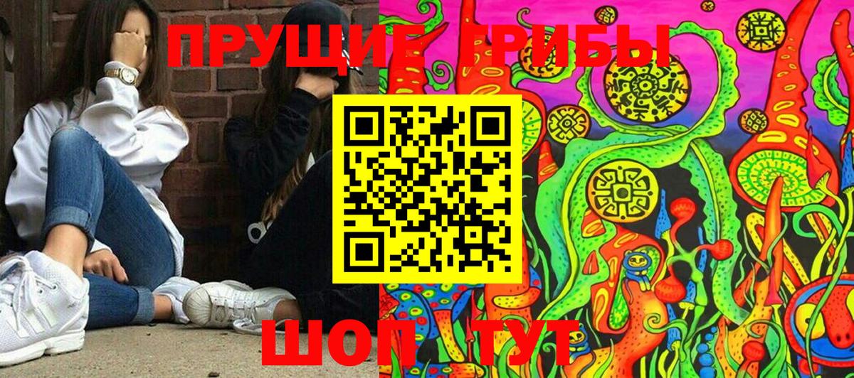 Галлюциногенные грибы GOLDEN TEACHER Свободный